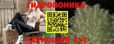 jwh Моздок