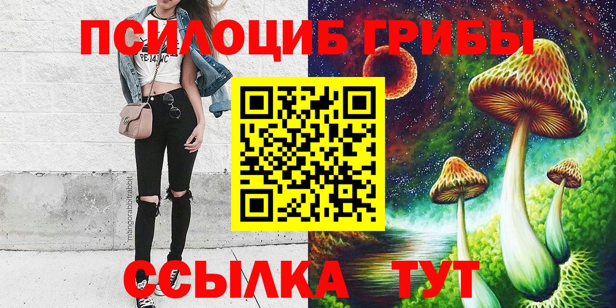 Псилоцибиновые грибы Psilocybe Тобольск